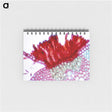 1-97_COVID-19_memo