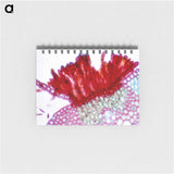 1-97_COVID-19_memo
