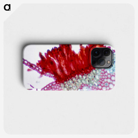1-97_COVID-19_phone