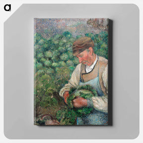 アートパネル-The Gardener - Old Peasant with Cabbage - カミーユ ピサロ Canvas.