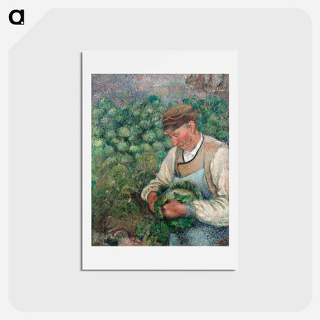 アートポストカード-The Gardener - Old Peasant with Cabbage - カミーユ ピサロ Postcard.
