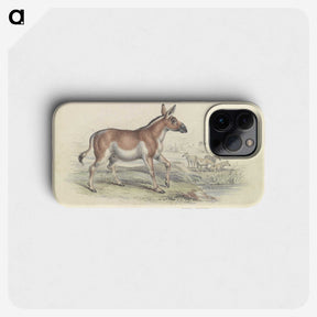 1-97_Charles-Hamilton-Smith_phone