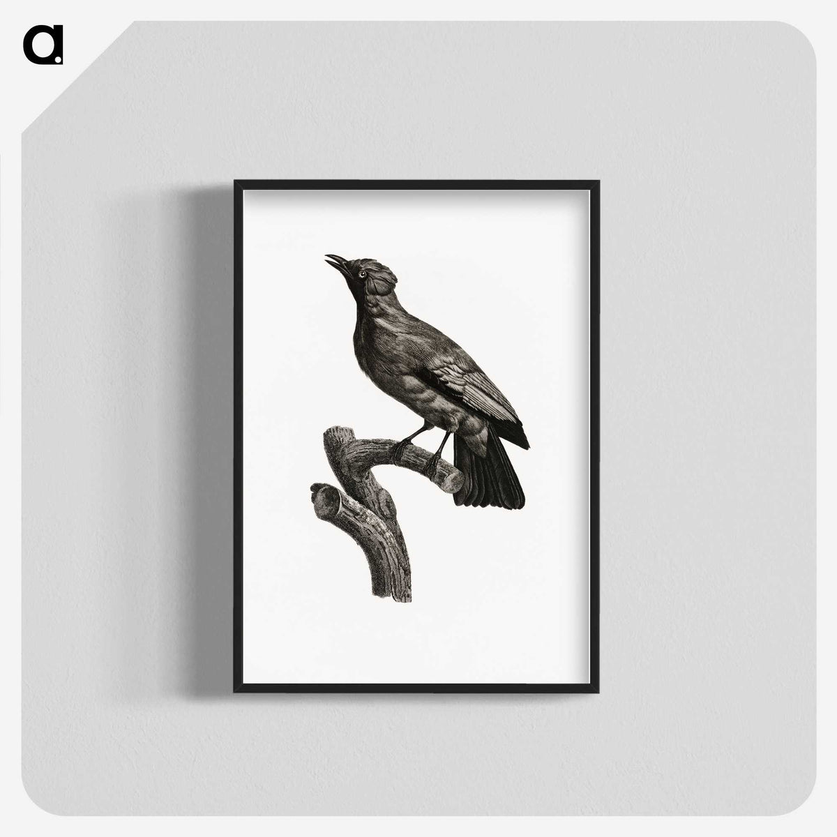 1-97_Des-Oiseaux-de-Paradis_blk-crop