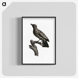 1-97_Des-Oiseaux-de-Paradis_blk-crop