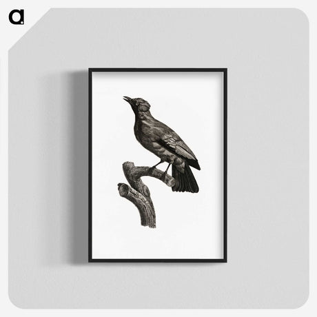 1-97_Des-Oiseaux-de-Paradis_blk-crop