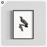 1-97_Des-Oiseaux-de-Paradis_blk