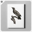 1-97_Des-Oiseaux-de-Paradis_canvas