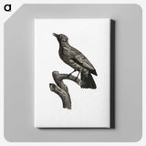 1-97_Des-Oiseaux-de-Paradis_canvas