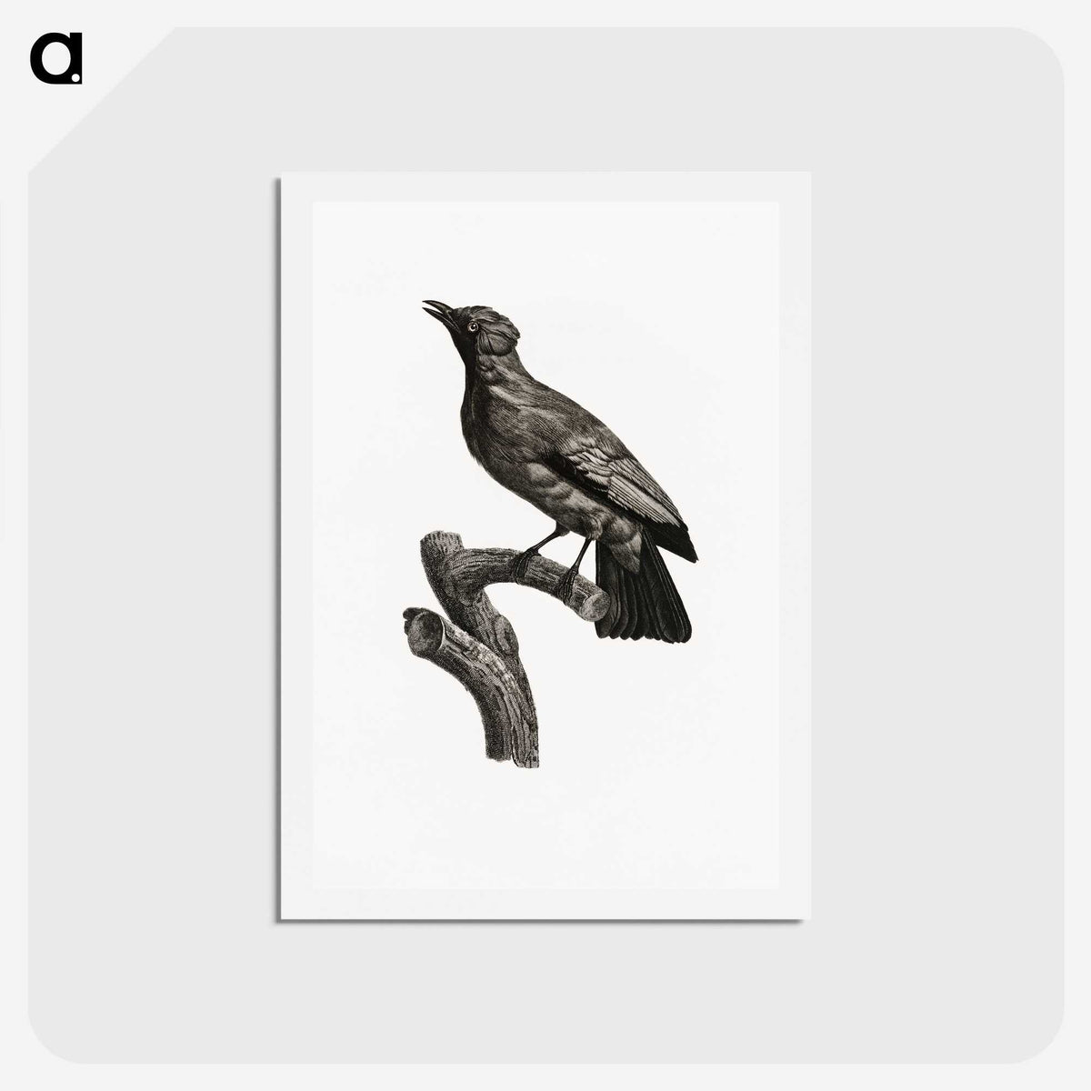 1-97_Des-Oiseaux-de-Paradis_hagaki
