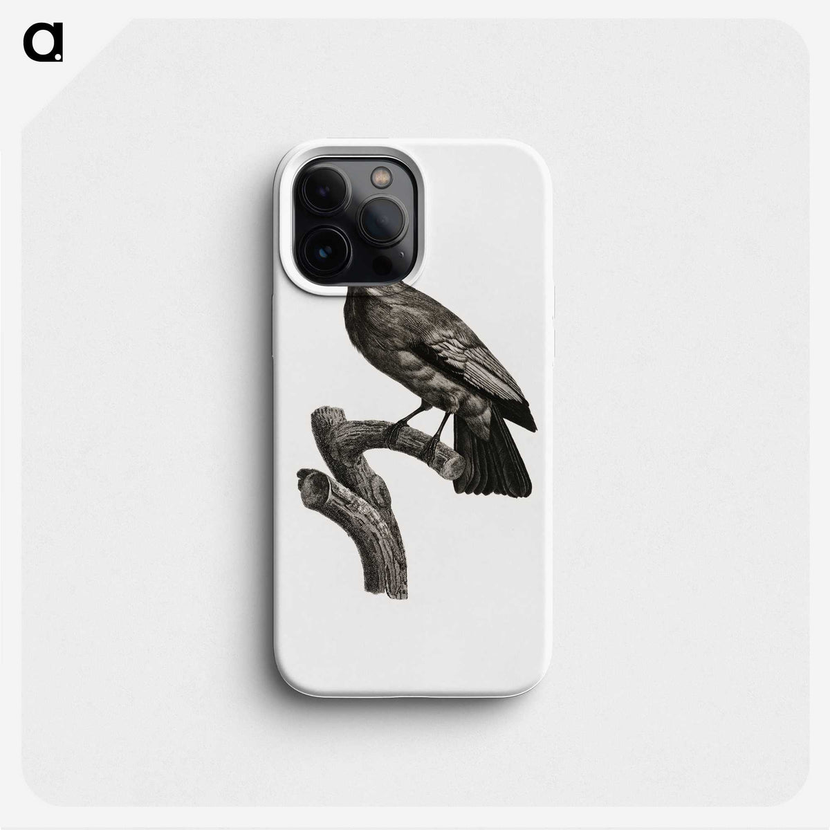 1-97_Des-Oiseaux-de-Paradis_phone