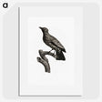 1-97_Des-Oiseaux-de-Paradis_picture