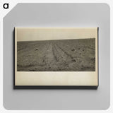 1-97_Dorothea-Lange_canvas
