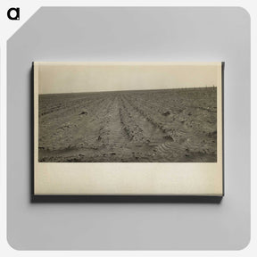 1-97_Dorothea-Lange_canvas