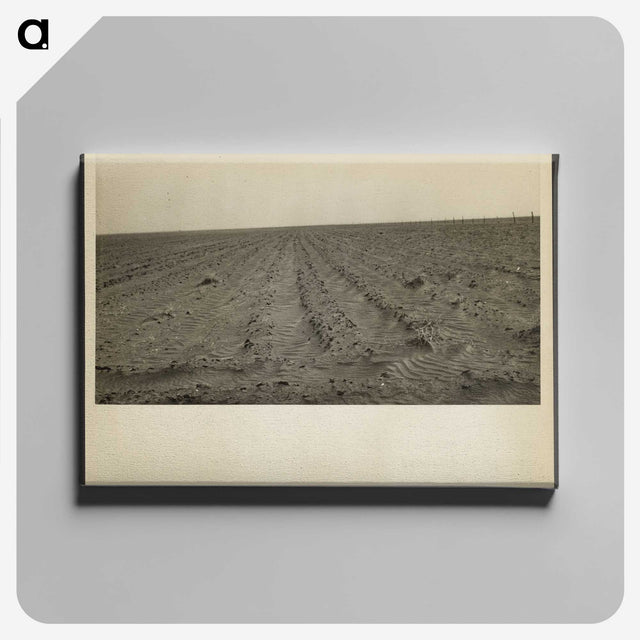 1-97_Dorothea-Lange_canvas
