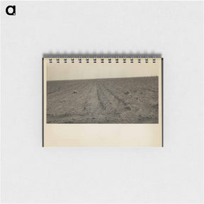 アートメモ帳-Furrows, Mills, New Mexico - ドロテア ラング Memo.