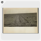 1-97_Dorothea-Lange_picture-crop