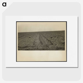 1-97_Dorothea-Lange_picture