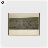 1-97_Dorothea-Lange_postcard