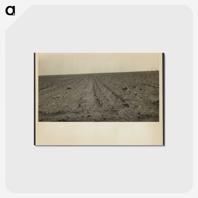 1-97_Dorothea-Lange_postcard