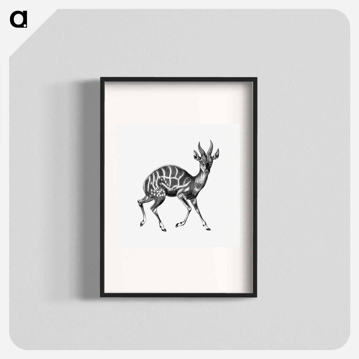 Vintage antelope wildlife illustration - エルンスト ヘッケル Poster.