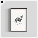 Vintage antelope wildlife illustration - エルンスト ヘッケル Poster.