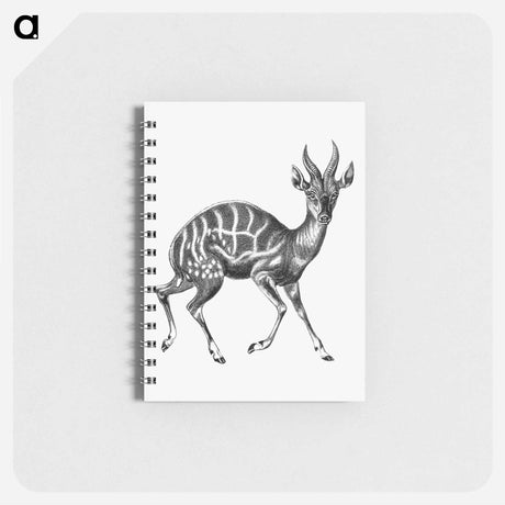 アートメモ帳-Vintage antelope wildlife illustration - エルンスト ヘッケル Memo.