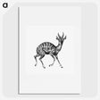 1-97_Ernst-Haeckel_picture
