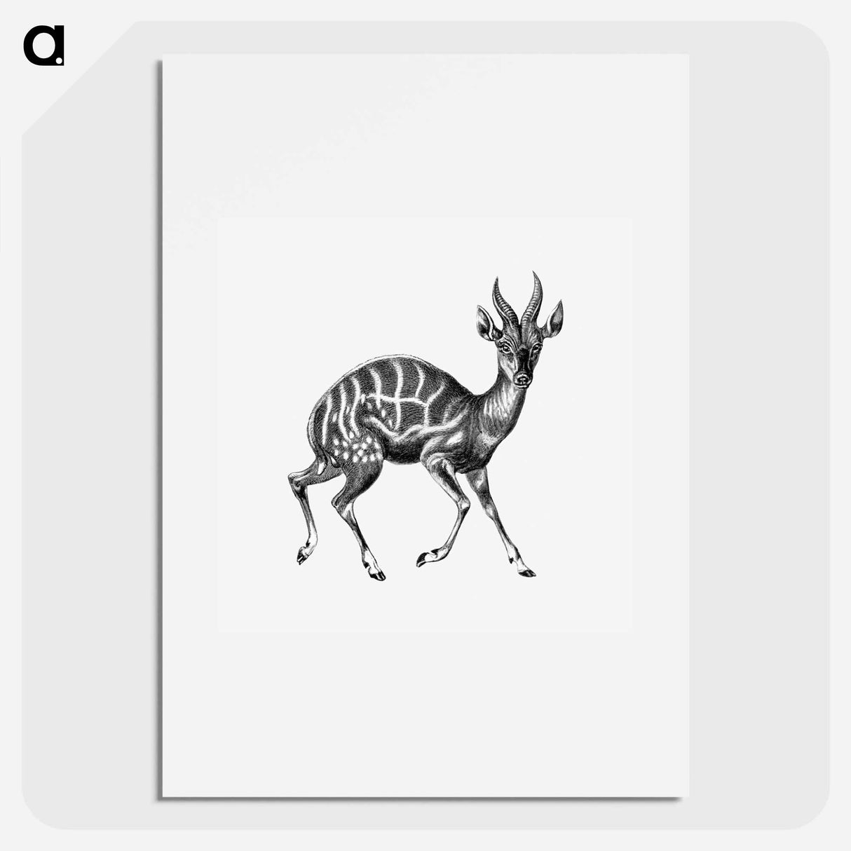 Vintage antelope wildlife illustration - エルンスト ヘッケル Poster.