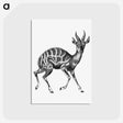 1-97_Ernst-Haeckel_postcard
