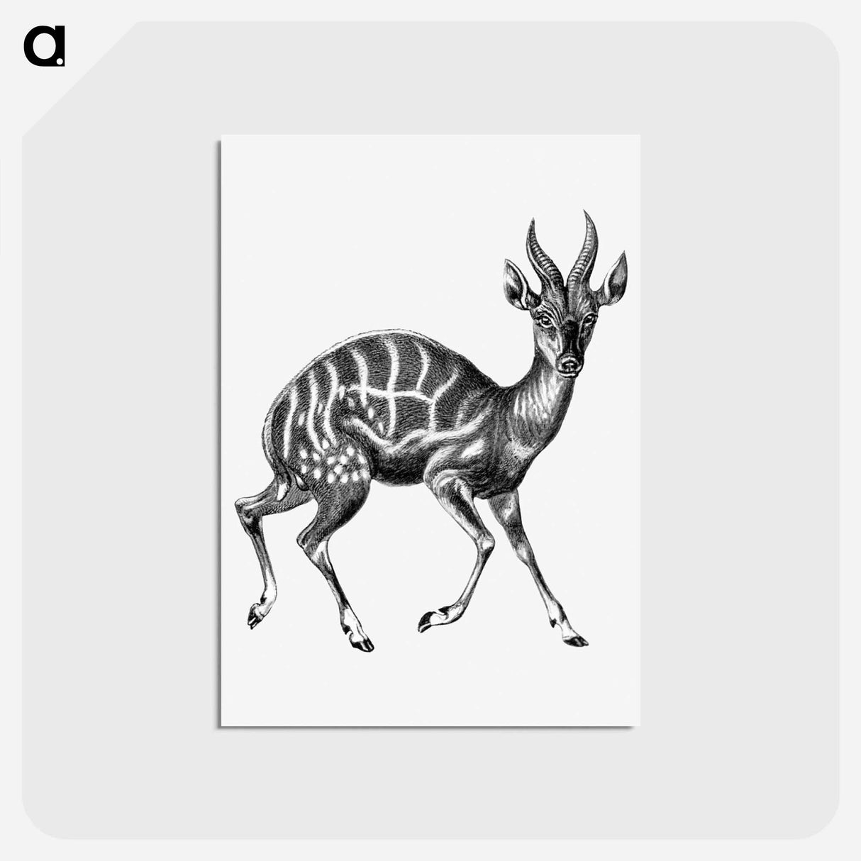 アートポストカード-Vintage antelope wildlife illustration - エルンスト ヘッケル Postcard.