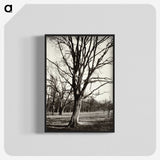 1-97_Eugene-Atget_blk-crop