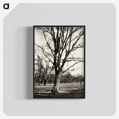1-97_Eugene-Atget_blk-crop