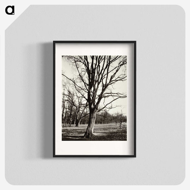 1-97_Eugene-Atget_blk