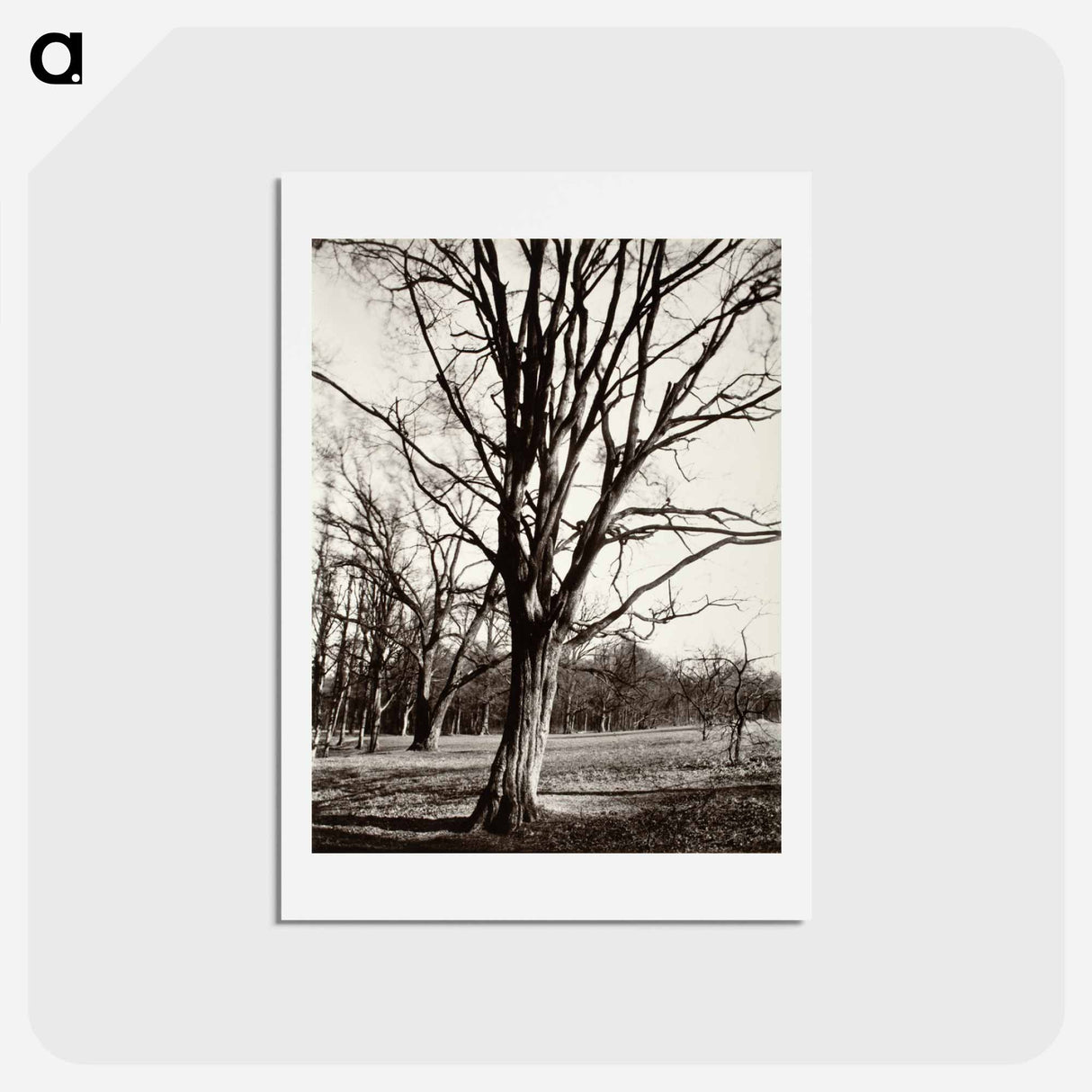 アートポストカード-Environs Of Paris
 - ウジェーヌ アジェ Postcard.