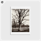 アートポストカード-Environs Of Paris
 - ウジェーヌ アジェ Postcard.