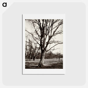 アートポストカード-Environs Of Paris
 - ウジェーヌ アジェ Postcard.