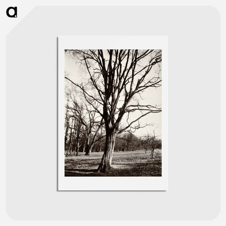 アートポストカード-Environs Of Paris
 - ウジェーヌ アジェ Postcard.