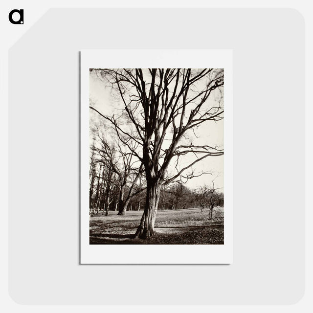 アートポストカード-Environs Of Paris
 - ウジェーヌ アジェ Postcard.