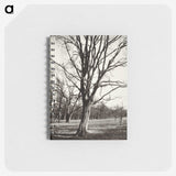 1-97_Eugene-Atget_memo
