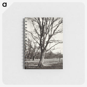 1-97_Eugene-Atget_memo