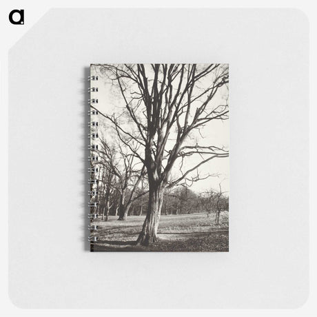 1-97_Eugene-Atget_memo