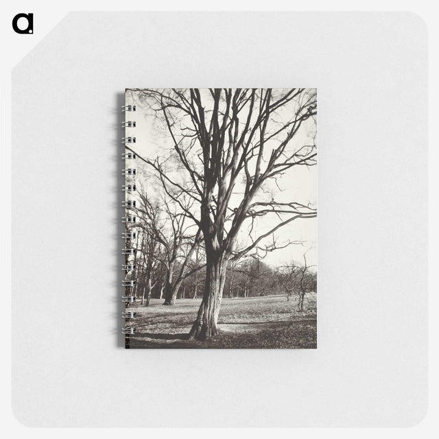 1-97_Eugene-Atget_memo