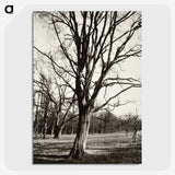 1-97_Eugene-Atget_picture-crop