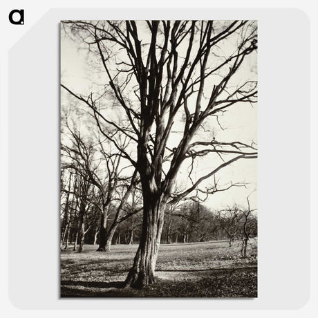 1-97_Eugene-Atget_picture-crop