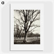 1-97_Eugene-Atget_picture