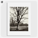 1-97_Eugene-Atget_picture
