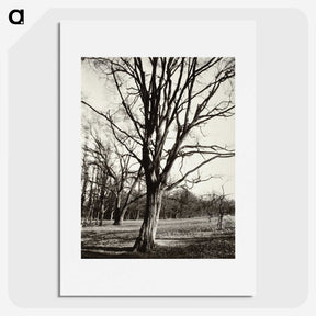 1-97_Eugene-Atget_picture