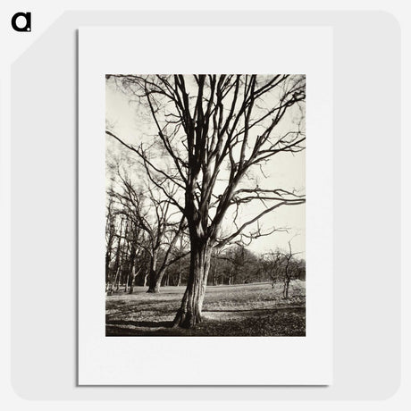 1-97_Eugene-Atget_picture
