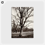アートポストカード-Environs Of Paris
 - ウジェーヌ アジェ Postcard.