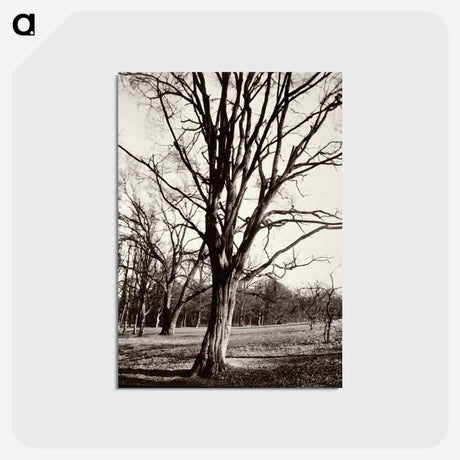 アートポストカード-Environs Of Paris
 - ウジェーヌ アジェ Postcard.